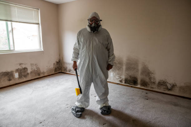 Best Industrial Mold Remediation  in Leeds, AL